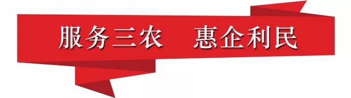 鄞立潮头40年创业创新再出发｜鄞州银行：打造国内农信机构标杆