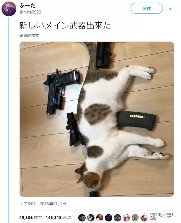 2018年在日推上“青史留名”的喵星人，引起舒适！