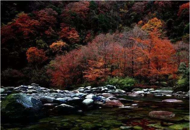 方志四川官网,四川改革开放40年文章