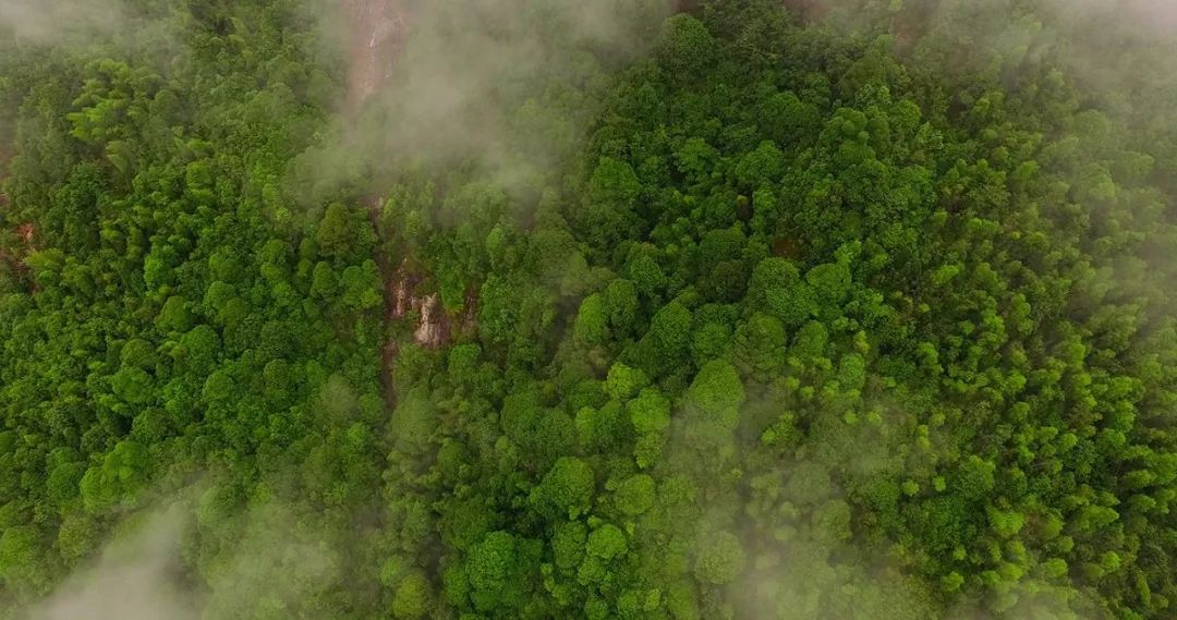 遂川家乡好风光,遂川县有哪些美景