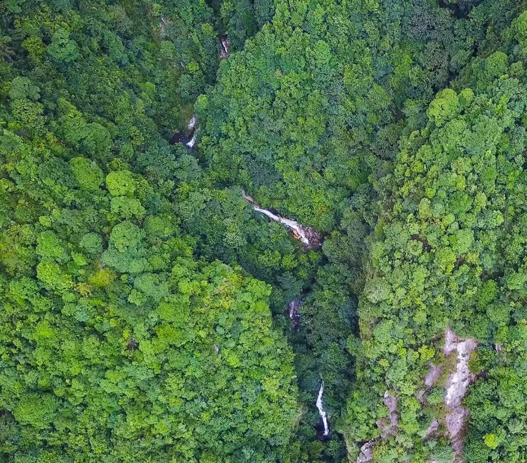 遂川家乡好风光,遂川县有哪些美景