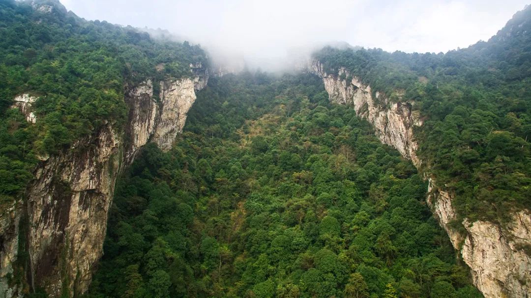 遂川家乡好风光,遂川县有哪些美景