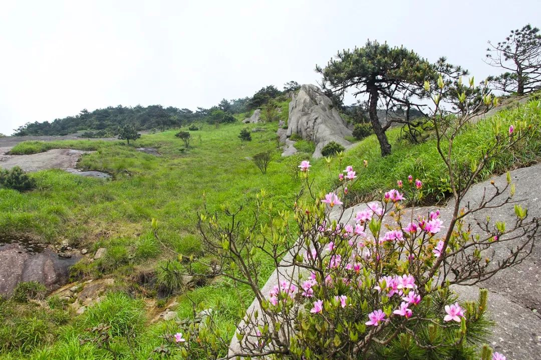 遂川家乡好风光,遂川县有哪些美景