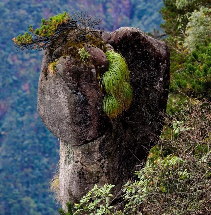 遂川家乡好风光,遂川县有哪些美景
