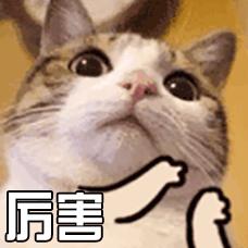 广东下一个开通的高铁线,广东未来哪个县市开通高铁