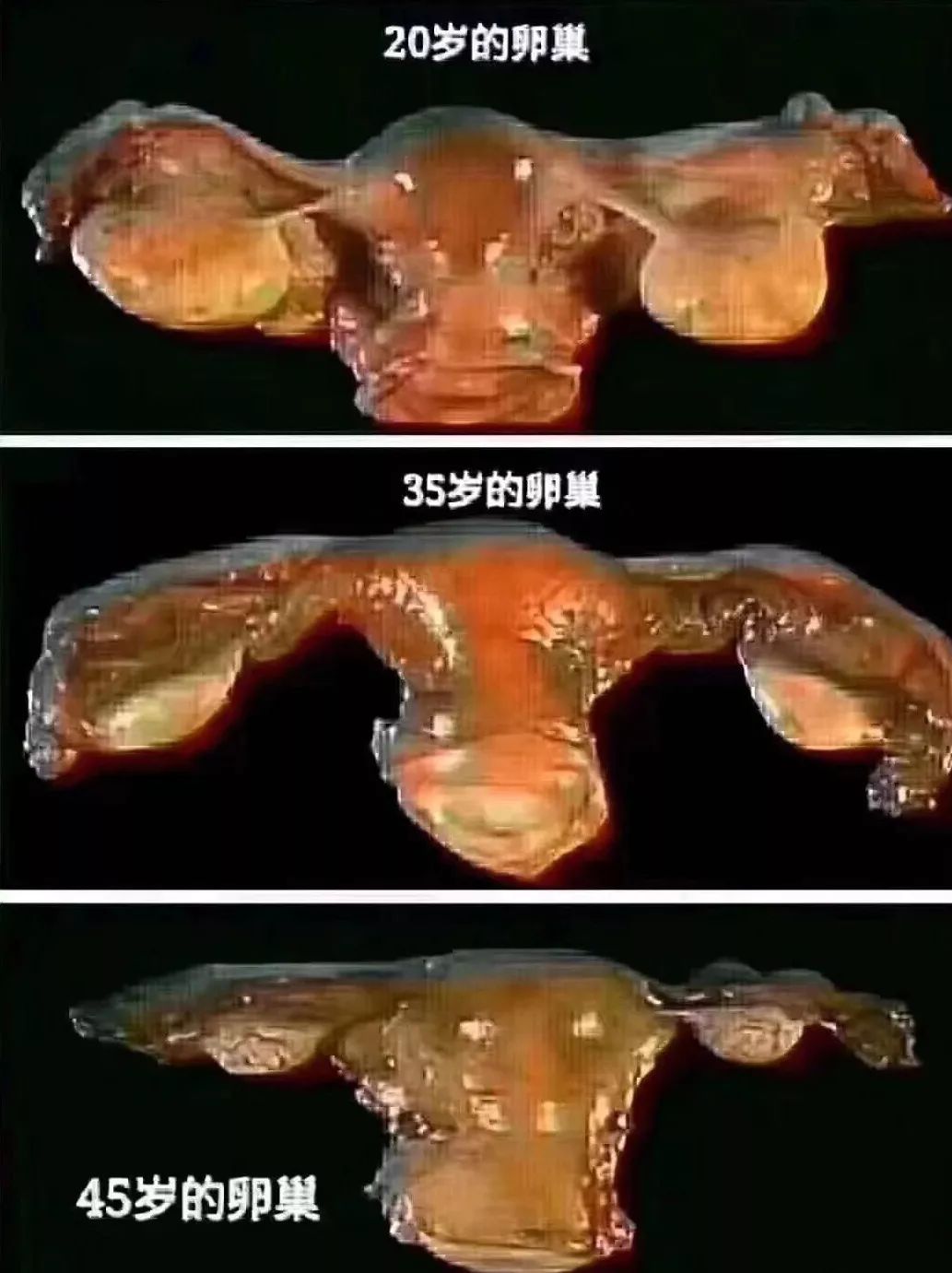 异地恋、姐弟恋陆续见光死，女人如何掌舵成为幸福操盘手？