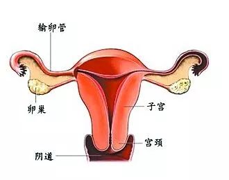 异地恋、姐弟恋陆续见光死，女人如何掌舵成为幸福操盘手？