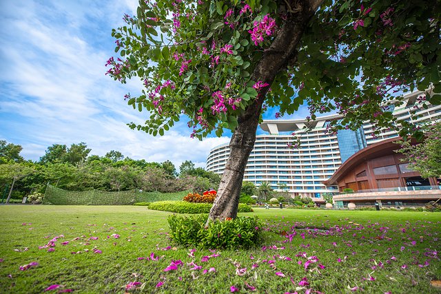 去三亚自由行美食攻略,三亚旅游美食攻略自由行路线推荐