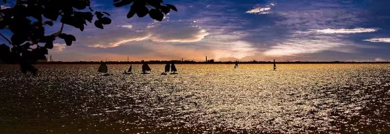 他们现在管青浦叫“锦鲤”，你还不转发？