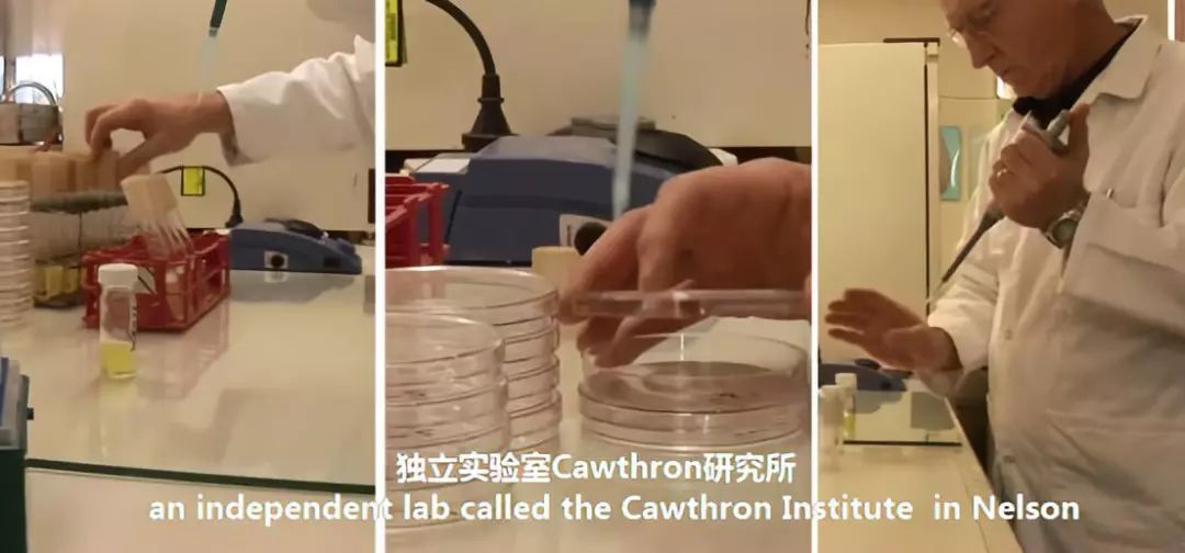 唇膜贴干唇救星,唇干裂用什么护唇