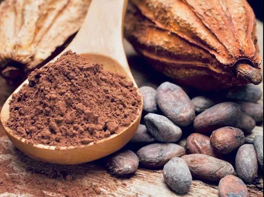 松露巧克力让人长胖,松露巧克力为什么不发胖