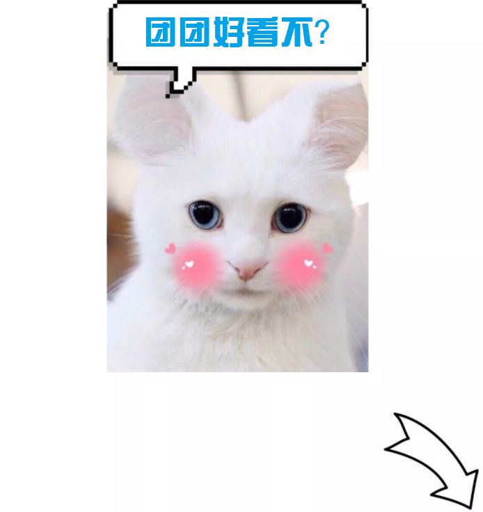 石嘴山就业局最近招聘,石嘴山近期招工