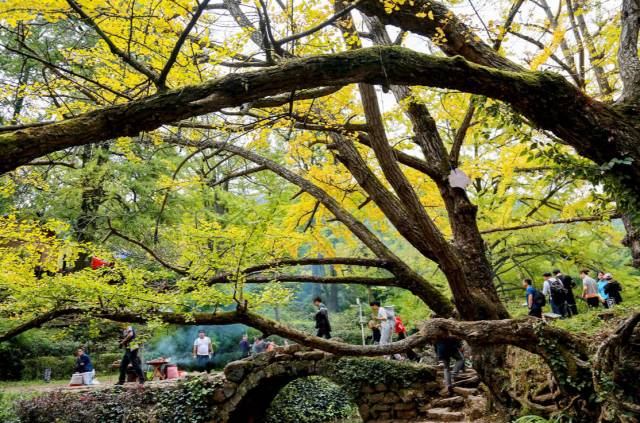 赶快收藏这50个实用生活小妙招,在贵州旅游攻略最值得买的