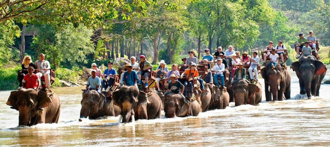 就因为不懂这些,他们在泰国被人妖打的头破血流