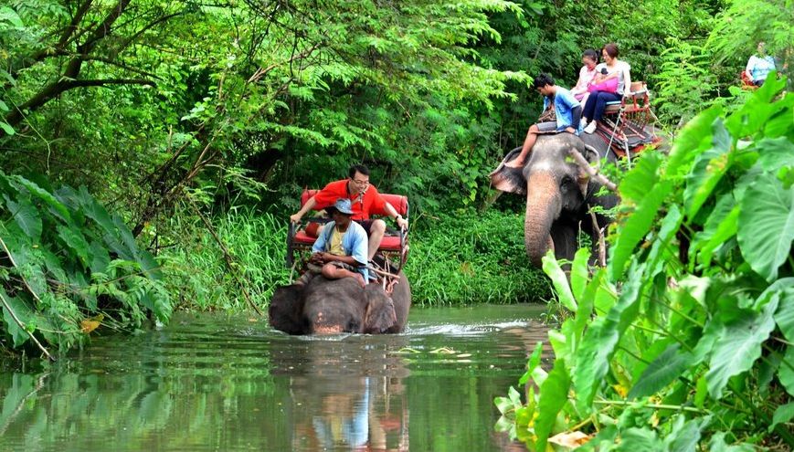 就因为不懂这些,他们在泰国被人妖打的头破血流