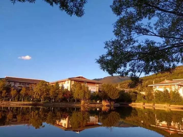 丽江在世界排名第一的大学,想想就激动