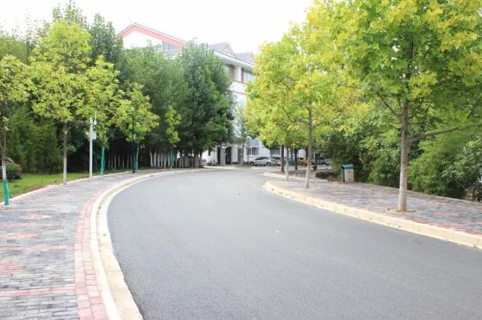 丽江在世界排名第一的大学,想想就激动