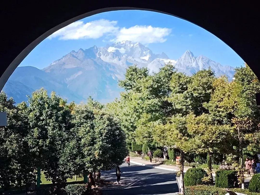 丽江在世界排名第一的大学,想想就激动