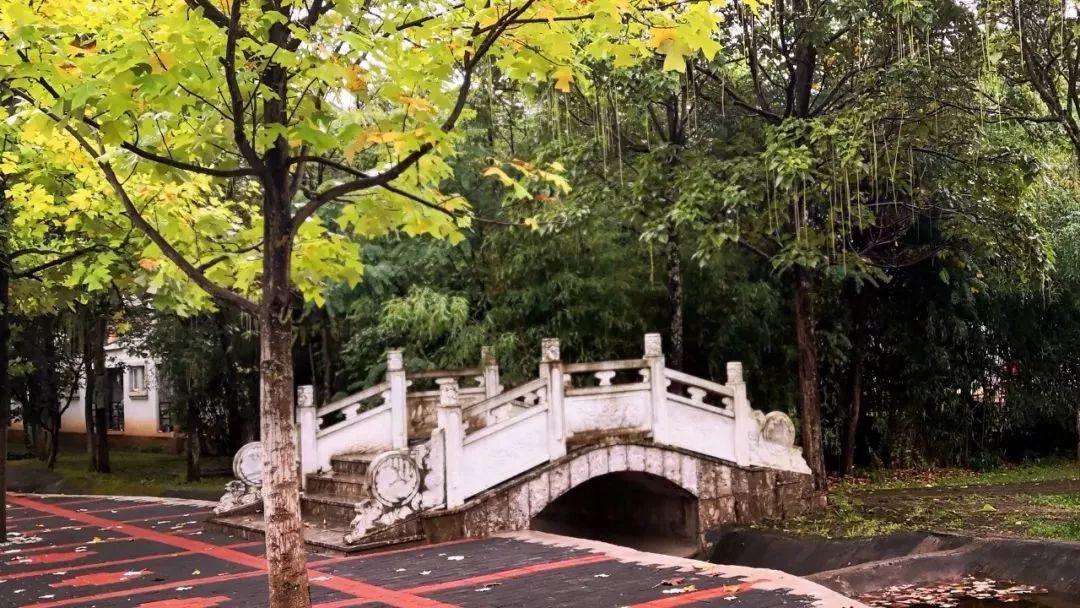 丽江在世界排名第一的大学,想想就激动