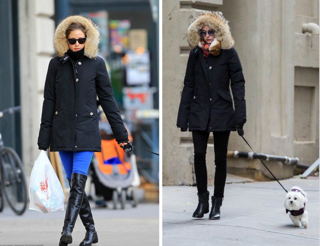 小雀斑衣服,小雀斑穿的大衣