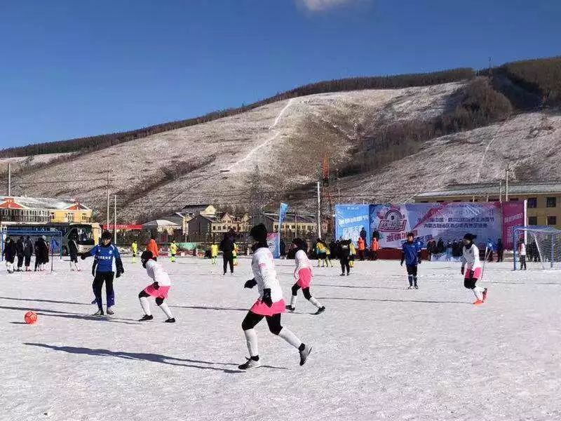 2018通辽足球比赛,内蒙古自治区2019年青少年足球赛