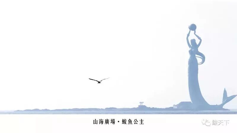 2019年就要来了！送你一本用鲅鱼圈做成的月历，收藏最美的风景！