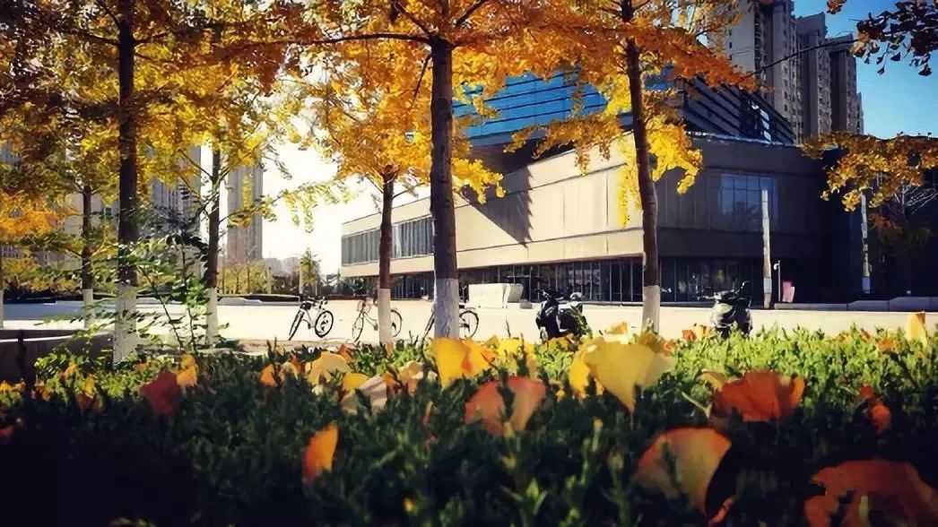 2019年就要来了！送你一本用鲅鱼圈做成的月历，收藏最美的风景！