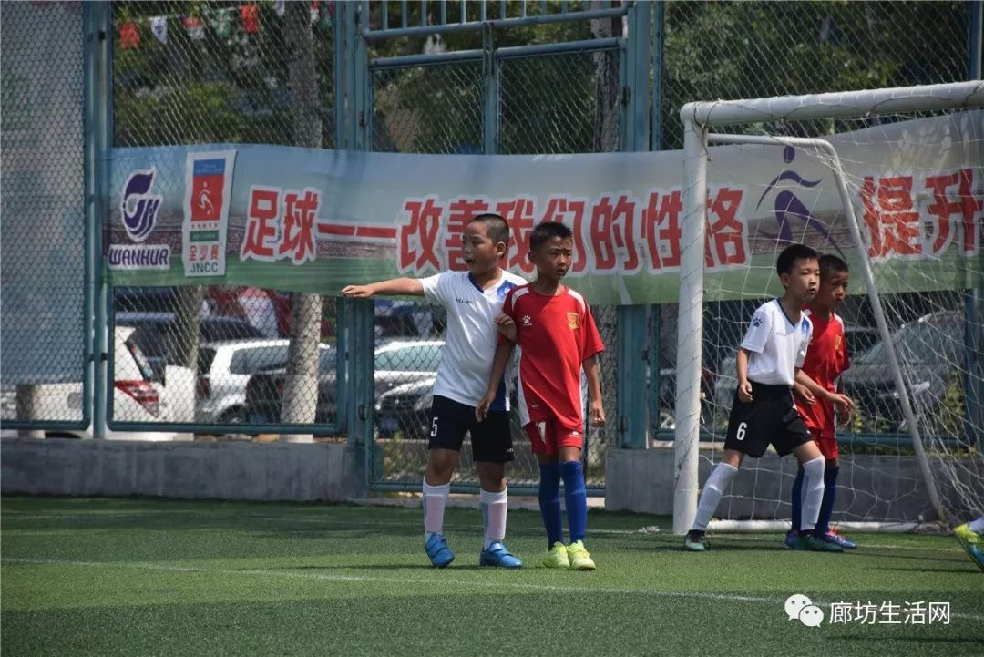 廊坊美食优惠团购前十名,廊坊美食优惠团购5-6人