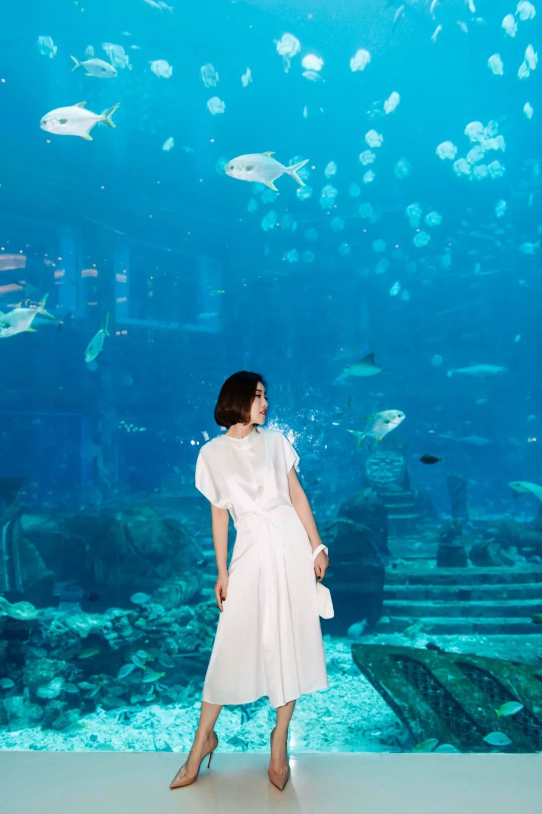 为什么白衬衫不能随便穿,为什么白衬衫是职业装