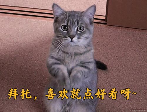 蜂蜜加白醋怎么使用效果好,蜂蜜加白醋的吃法一定要知道