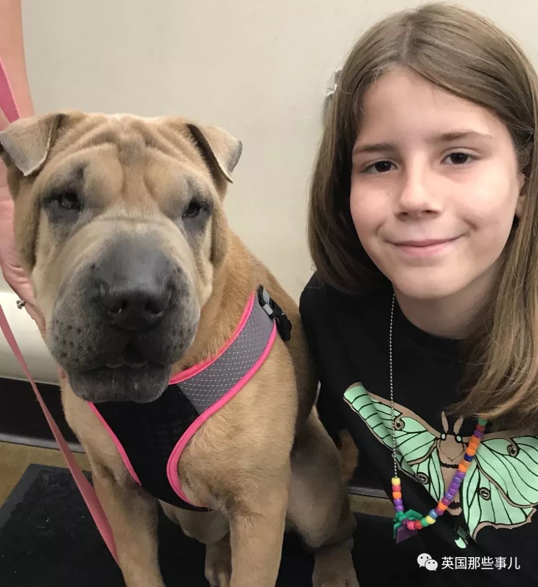 10岁男孩完成所有的男孩的梦想,10岁男孩梦想