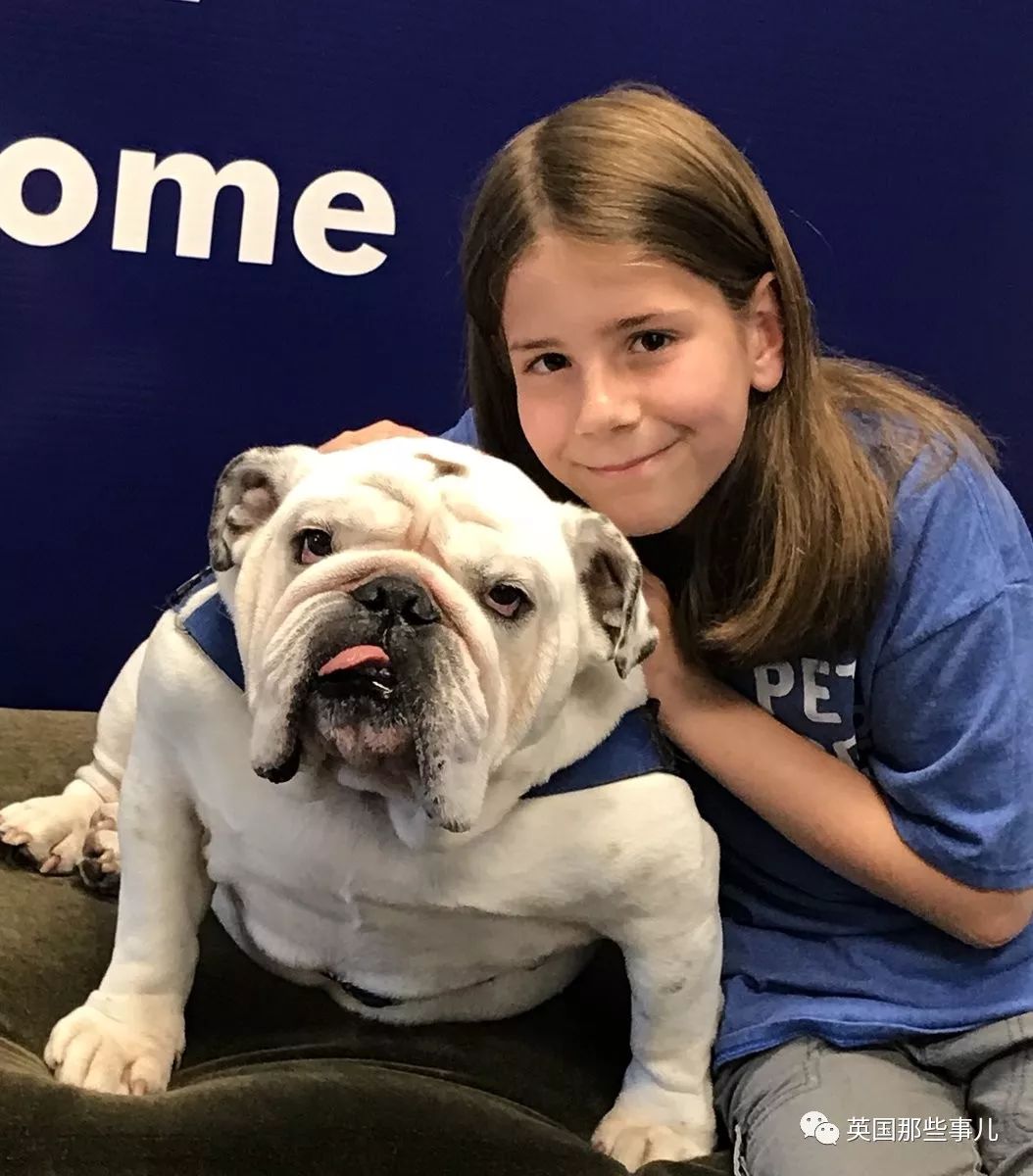 10岁男孩完成所有的男孩的梦想,10岁男孩梦想