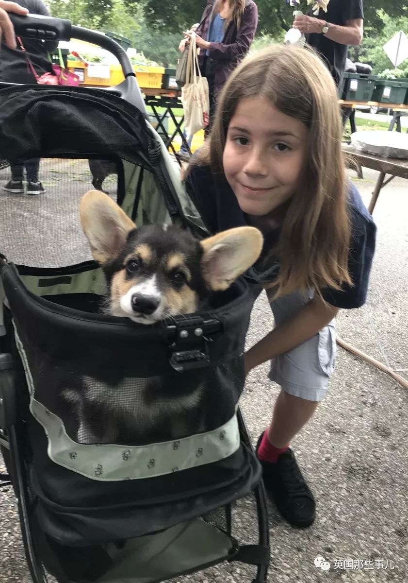 10岁男孩完成所有的男孩的梦想,10岁男孩梦想