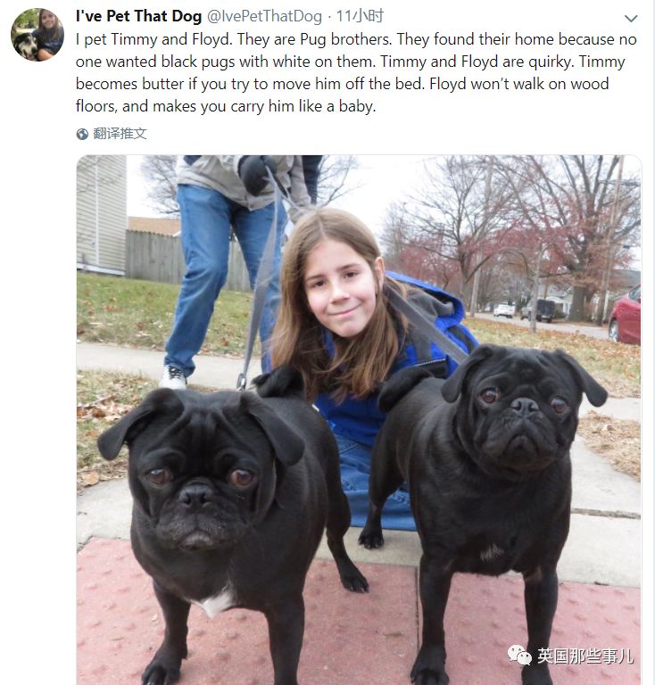 10岁男孩完成所有的男孩的梦想,10岁男孩梦想