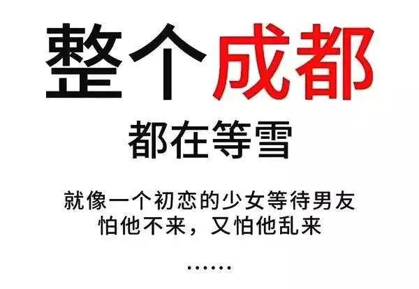 成都最好的素食火锅,成都火锅素食哪家好吃