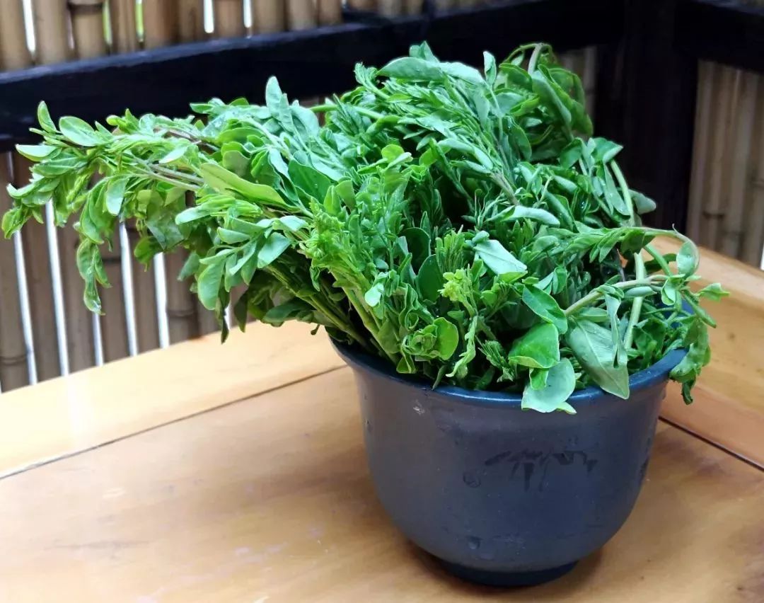 成都最好的素食火锅,成都火锅素食哪家好吃