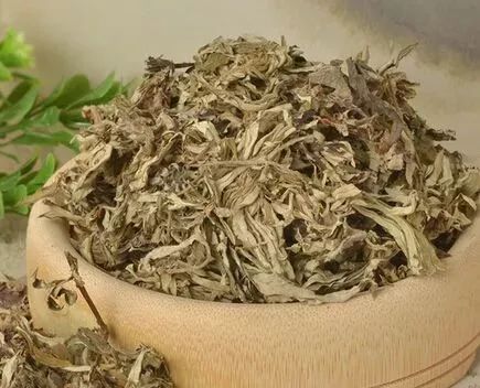 这种野草吃对了补肾吃错了伤身,腰痛常用野生草药