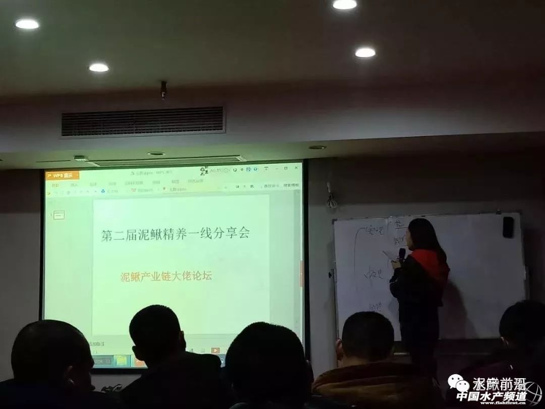 2023泥鳅塘头价格,今日泥鳅塘头最新价格