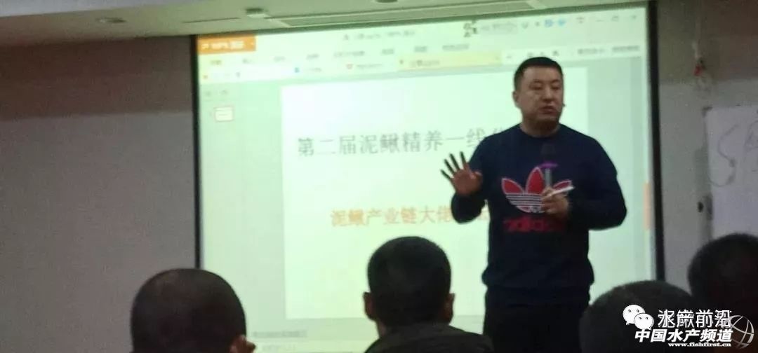 2023泥鳅塘头价格,今日泥鳅塘头最新价格