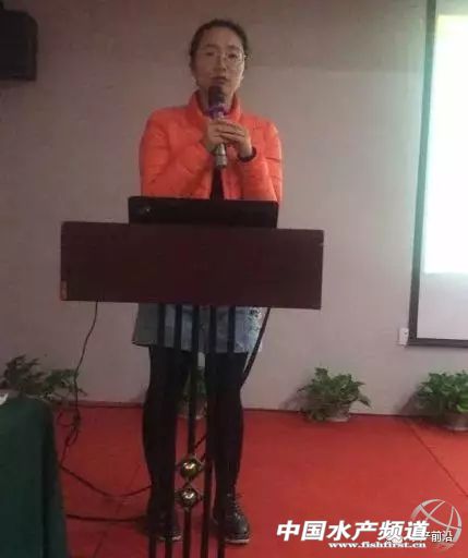 2023泥鳅塘头价格,今日泥鳅塘头最新价格