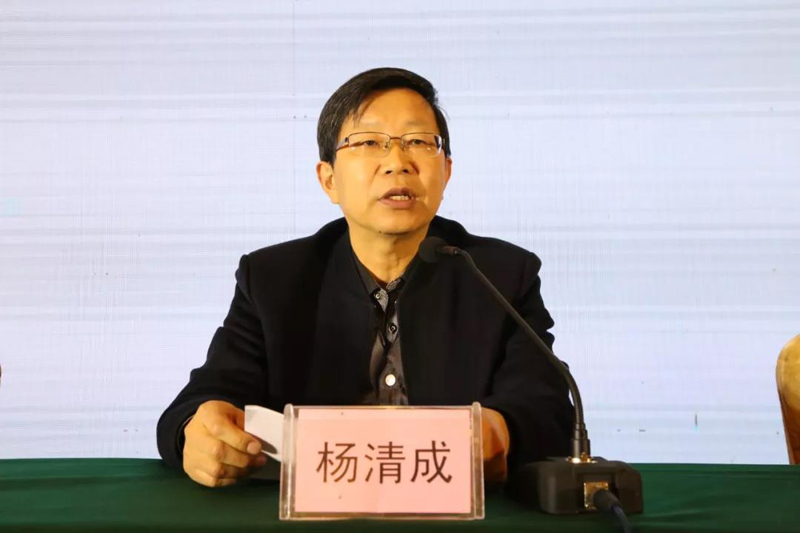 胎儿产前超声筛查,超声产前筛查汇报