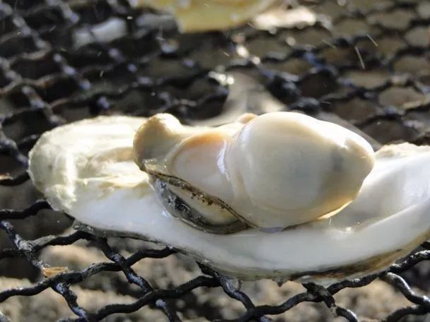 十大最美的网红打卡地,打卡2018很火的网红地图