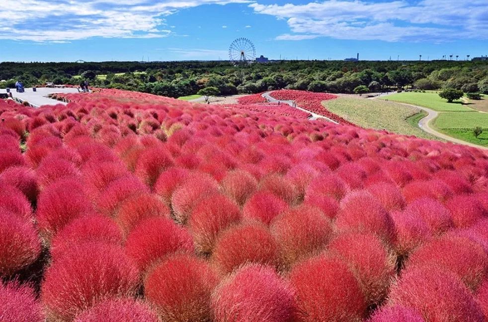 十大最美的网红打卡地,打卡2018很火的网红地图