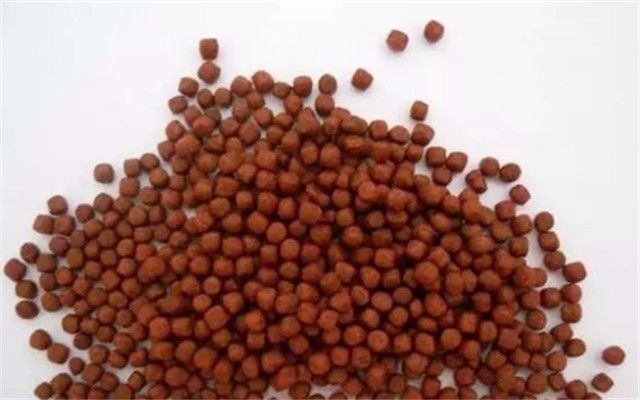 罗汉鱼多大开始发色起头,罗汉鱼怎么红的多