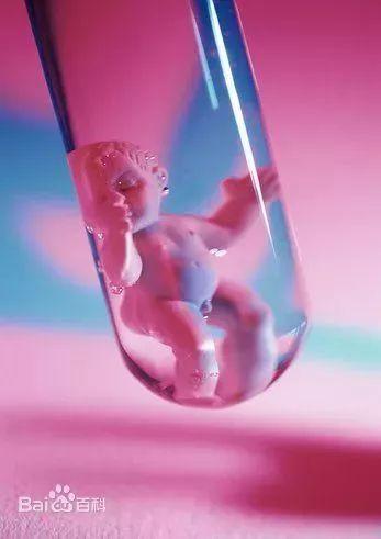 浙江海宁婴儿,海宁刚出生的宝宝