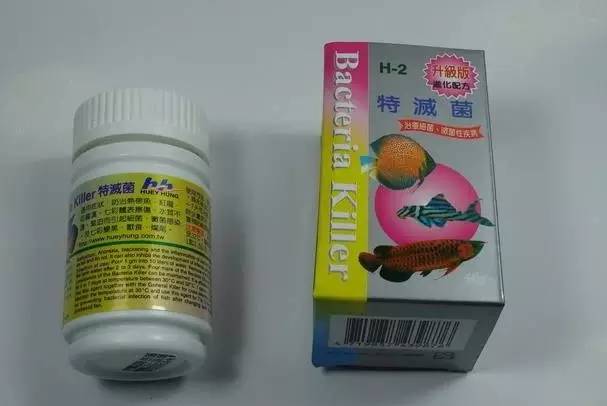 罗汉鱼不仅蒙眼,还凸出来了