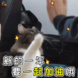 猫癣传染了给人该怎么办,人被传染上猫癣能用皮特芬吗