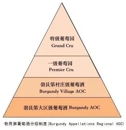 法国勃艮第黑皮诺珍藏红葡萄酒,法国格瑞德勃艮第红葡萄酒2013