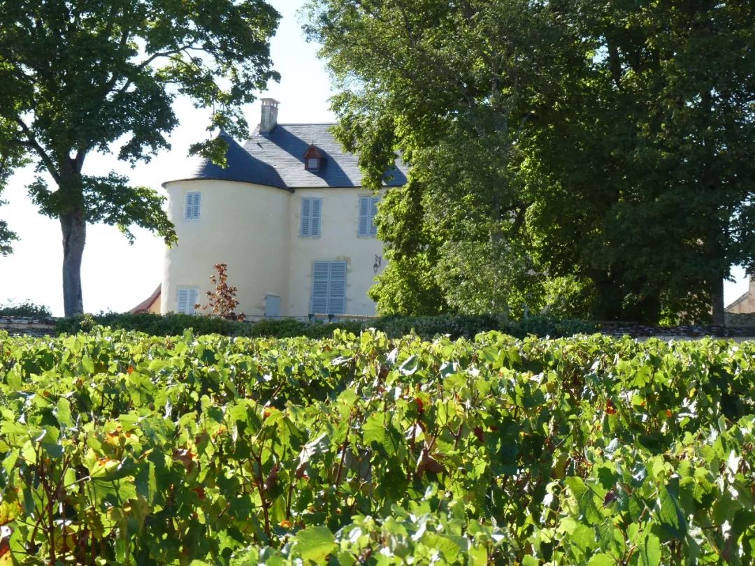 法国勃艮第黑皮诺珍藏红葡萄酒,法国格瑞德勃艮第红葡萄酒2013