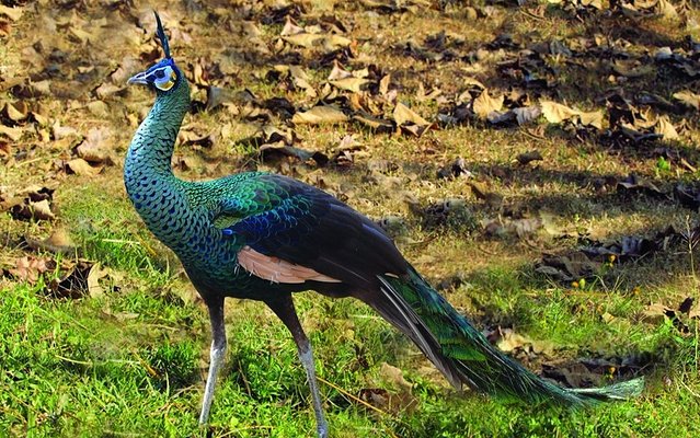 1-2月十大必去旅行地,8个适合一个人去旅行的旅游胜地